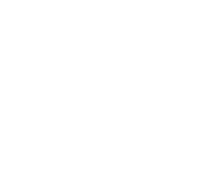 Rinsma Recovery logo — footer